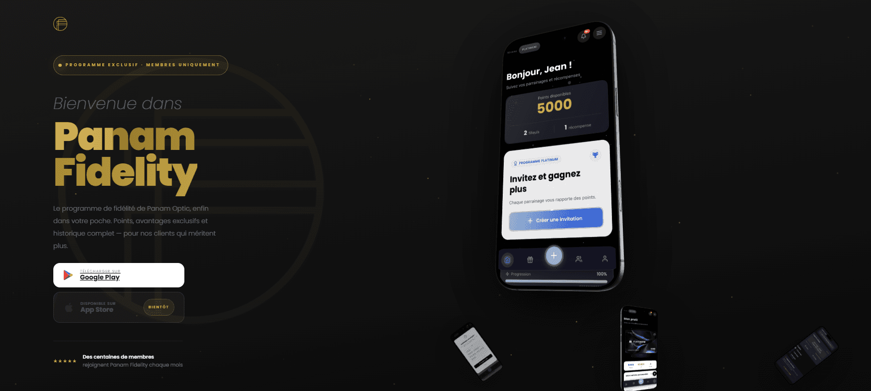 Aperçu du site PANAM FIDELITY